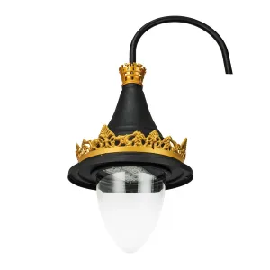 Led Decorative Lights LSG18