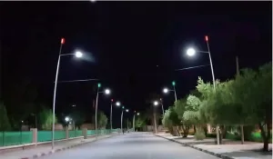 The United Arab Emirates project